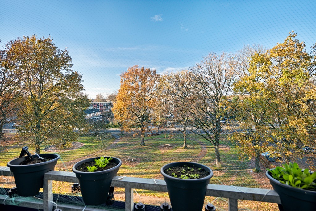 Lingestraat 52-37.jpg
